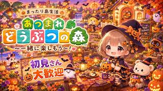 [あつ森]　まったり配信。。。マイル貯め❣初見さん大歓迎🌷