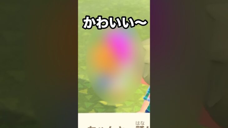 【あつ森】癒し回！あの住民と久々にお話ししてみたら〜