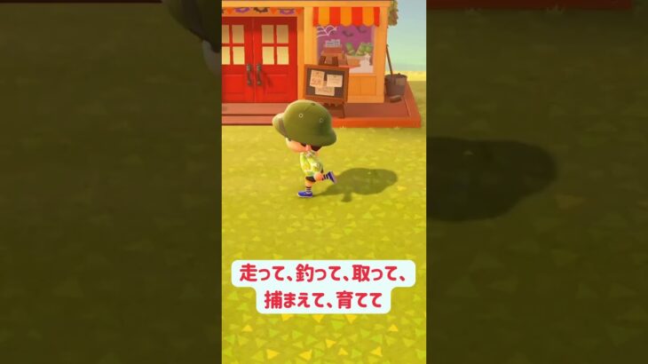ぼっちチャンネルゲーム配信　毎日配信　#あつ森 #あつまれどうぶつの森 #ゲーム配信