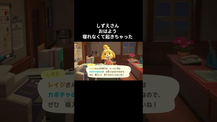 寝れなくなっちゃった(-_-;) #ゲーム配信 #あつ森 #あつまれどうぶつの森