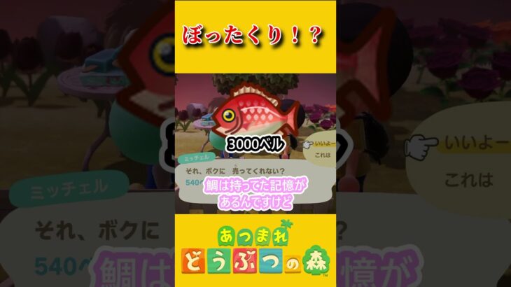 ミッチェルからぼったくられる…？【あつ森】 #あつまれどうぶつの森 #あつ森