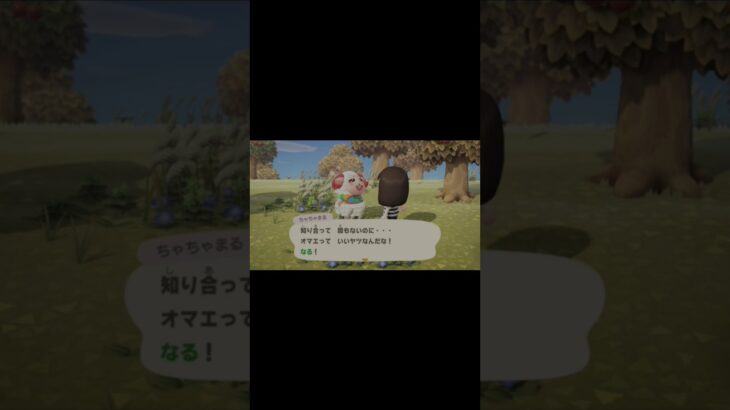 あつ森はじめました 。