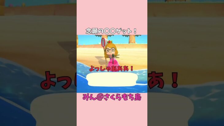 【あつ森】ずっと欲しかったオニヤンマをやっと捕まえたよー✨