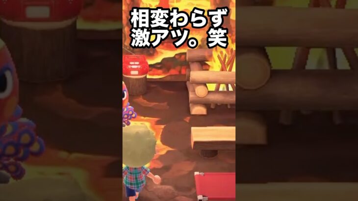 【あつ森】やっぱり激アツ！！あの住民の家に久々にいってみた