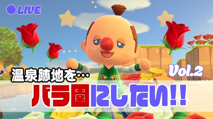 【あつ森】【しゅまライブ】🌹バラ園づくりの続き！ のんびり島クリするよ✨【ライブ配信】