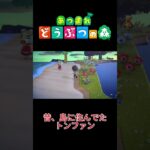 前住んでたやん、トンファンさん #ゲーム実況 #あつ森