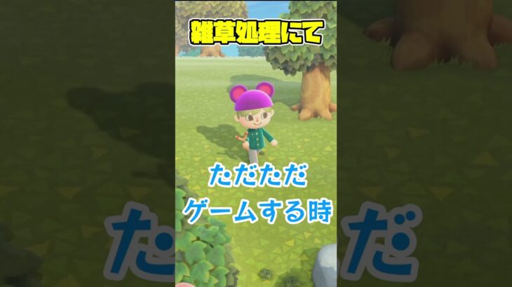 雑草処理にて #あつまれどうぶつの森 #あつ森 #ゲーム実況