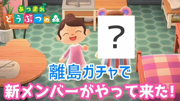 【あつ森】離島ガチャでアネキ系の新メンバーがやって来た！