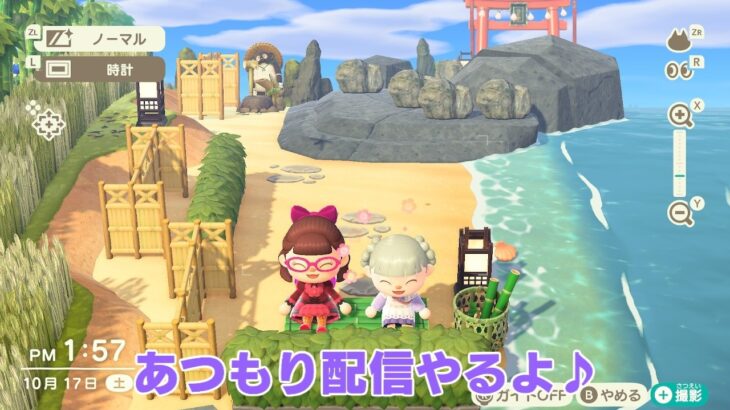 【あつ森】のんびり遊ぼう【島訪問：うみさんち・ひよりさんち】#あつまれどうぶつのもり
