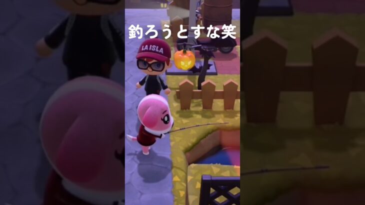 【あつ森】池に落ちたスズムシを釣ろうとするな！笑