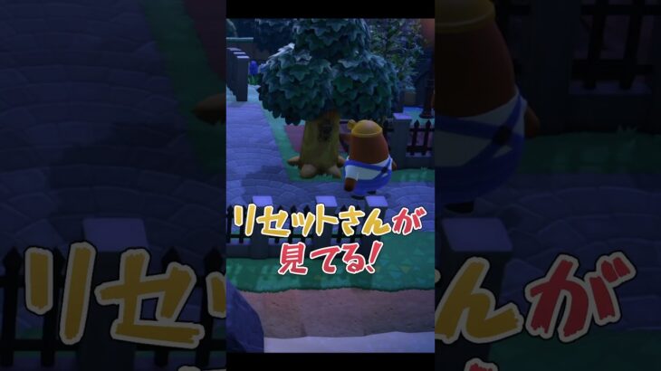 虫捕りの前に立ちはだかる壁たち【あつ森】