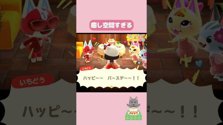 【あつ森】ネコちゃんたちと過ごす誕生日の一日🎂