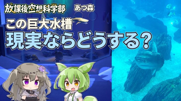 【あつ森】博物館の巨大水槽、現実ならどう維持する？餌・水換え・停電対策