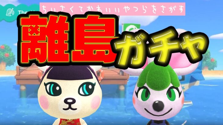【あつ森】ちいさいやつらを探す　離島ガチャ【あつまれどうぶつの森】
