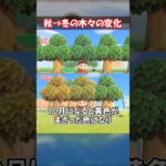 【紅葉】木々の季節による違い 【あつ森】@ほのげ
