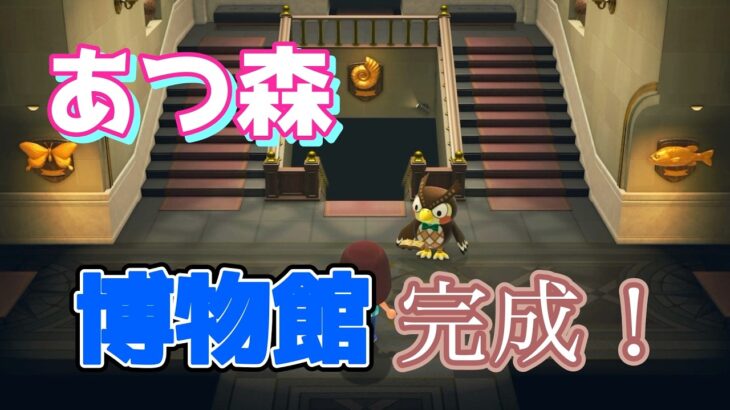 あつ森！ついに博物館が完成！！あつまれどうぶつの森