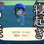 【寝起きあつ森】秋の早朝で！！珍しい生き物を捕まえたかった