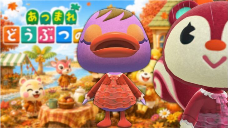 【あつ森】 ひっさしぶりの晴れの日☀️✨ そんな日はアッキーのまた〜りのんびり島生活🏝️🐿️🌿