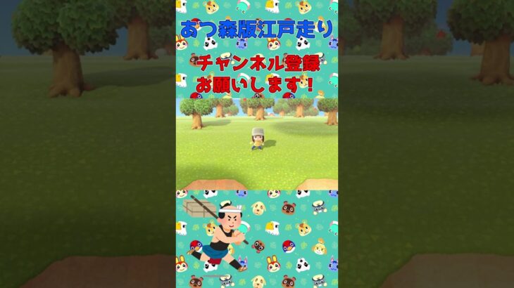 あつ森版江戸走り