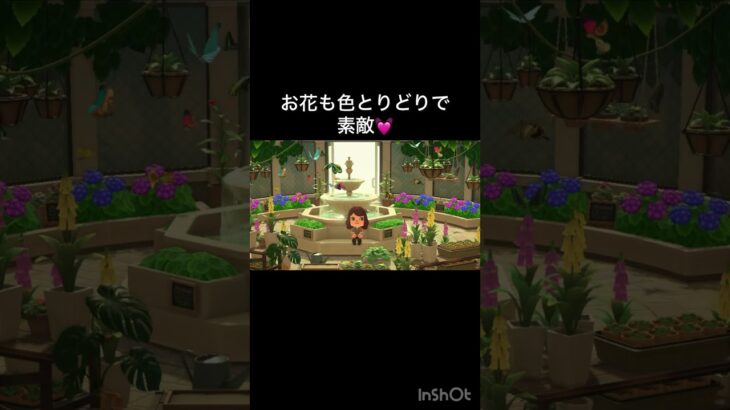 【あつ森　私の好きな場所】　　#vlog #あつまれどうぶつの森 #こはくちゃんねる2424
