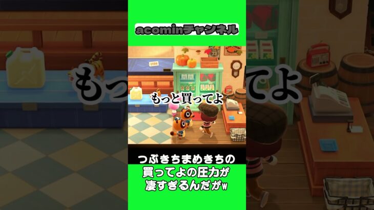 【あつ森】つぶきちまめきちの買ってよの圧力が凄すぎるんだがw |shorts