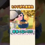 【あつ森】来年が未年だから！？羊住民が大量発生w【あつまれどうぶつの森】#shorts #あつ森