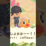 【あつ森】ランを落とし穴に落としてみたwww #shorts #あつ森