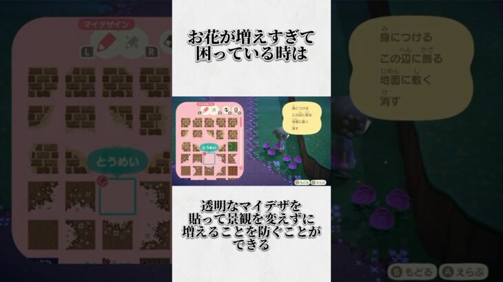 あつ森に関するみんなが絶対に知らない雑学wwww #shorts #あつ森