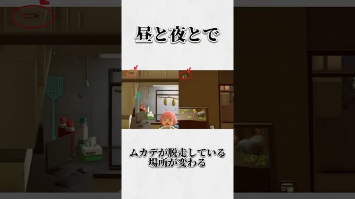 あつ森に関するみんなが絶対に知らない雑学wwww #shorts #あつ森
